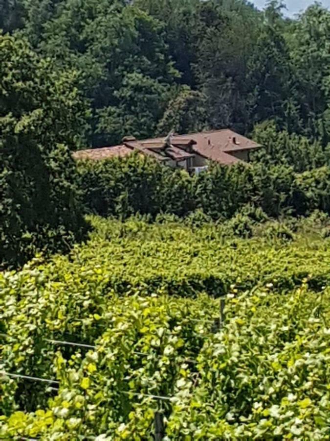 La Casa Di Roby-1 Appartamento La Morra Con Piscina Bagian luar foto